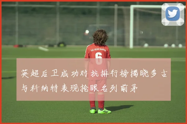 英超后卫成功对抗排行榜揭晓多古与科纳特表现抢眼名列前茅