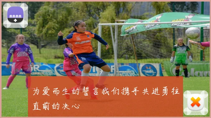 为爱而生的誓言我们携手共进勇往直前的决心