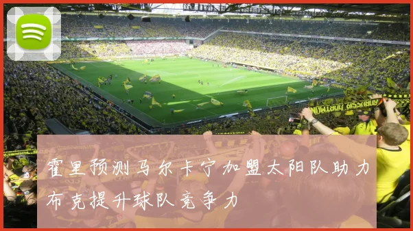 霍里预测马尔卡宁加盟太阳队助力布克提升球队竞争力