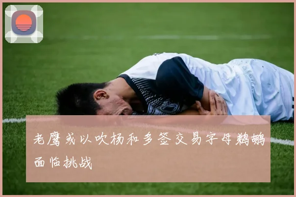 老鹰或以吹杨和多签交易字母鹈鹕面临挑战