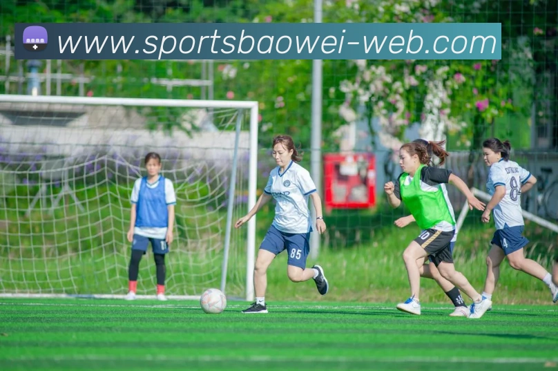 宝威体育APP 封面图